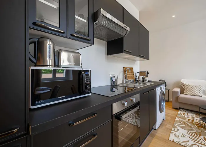 Beautiful Renovated Residence Near Croisette